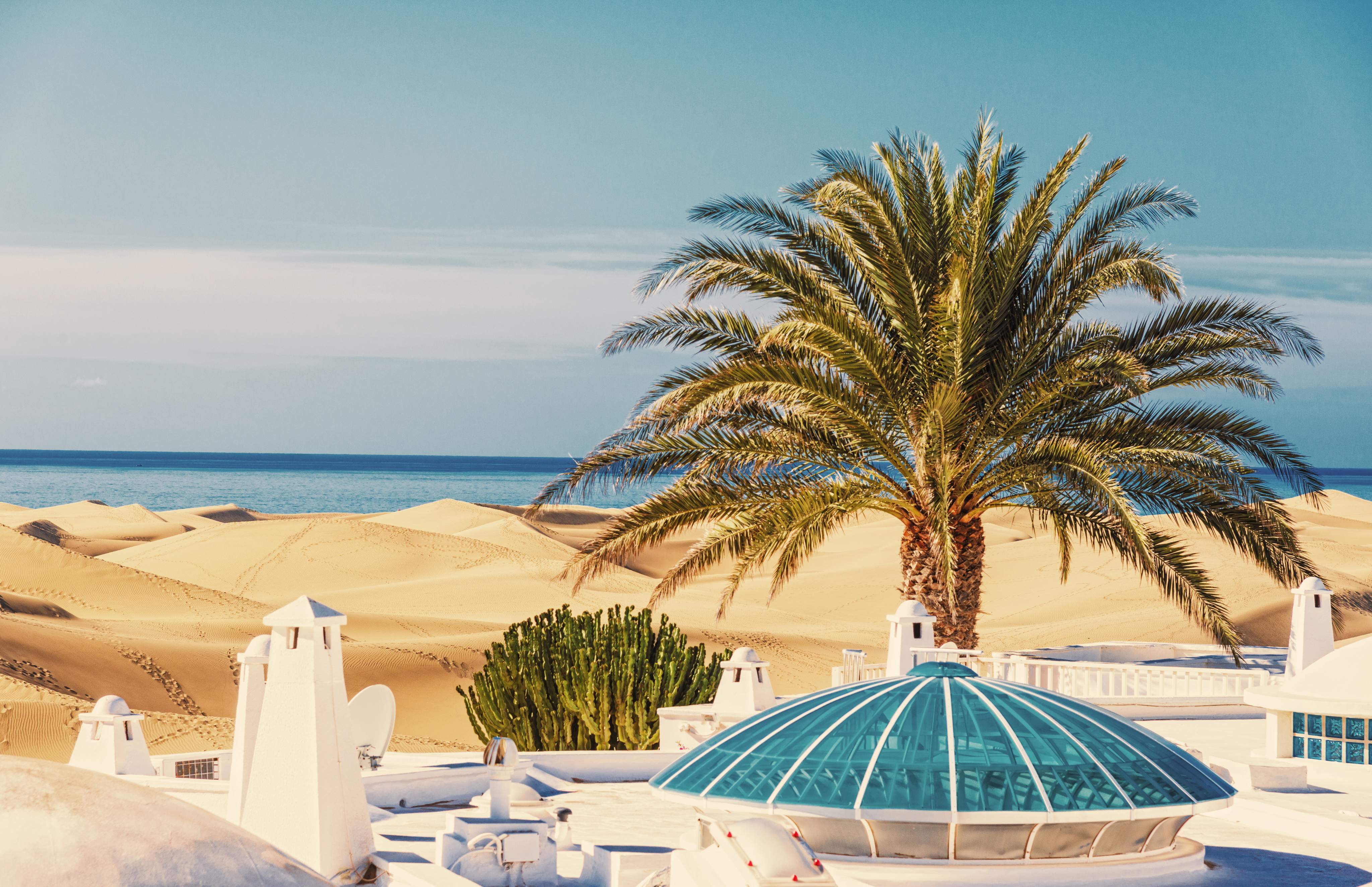 Een palmboom rijst op voor de glooiende duinen van Gran Canaria, met uitzicht op de diepblauwe zee achter een elegant wit terras.