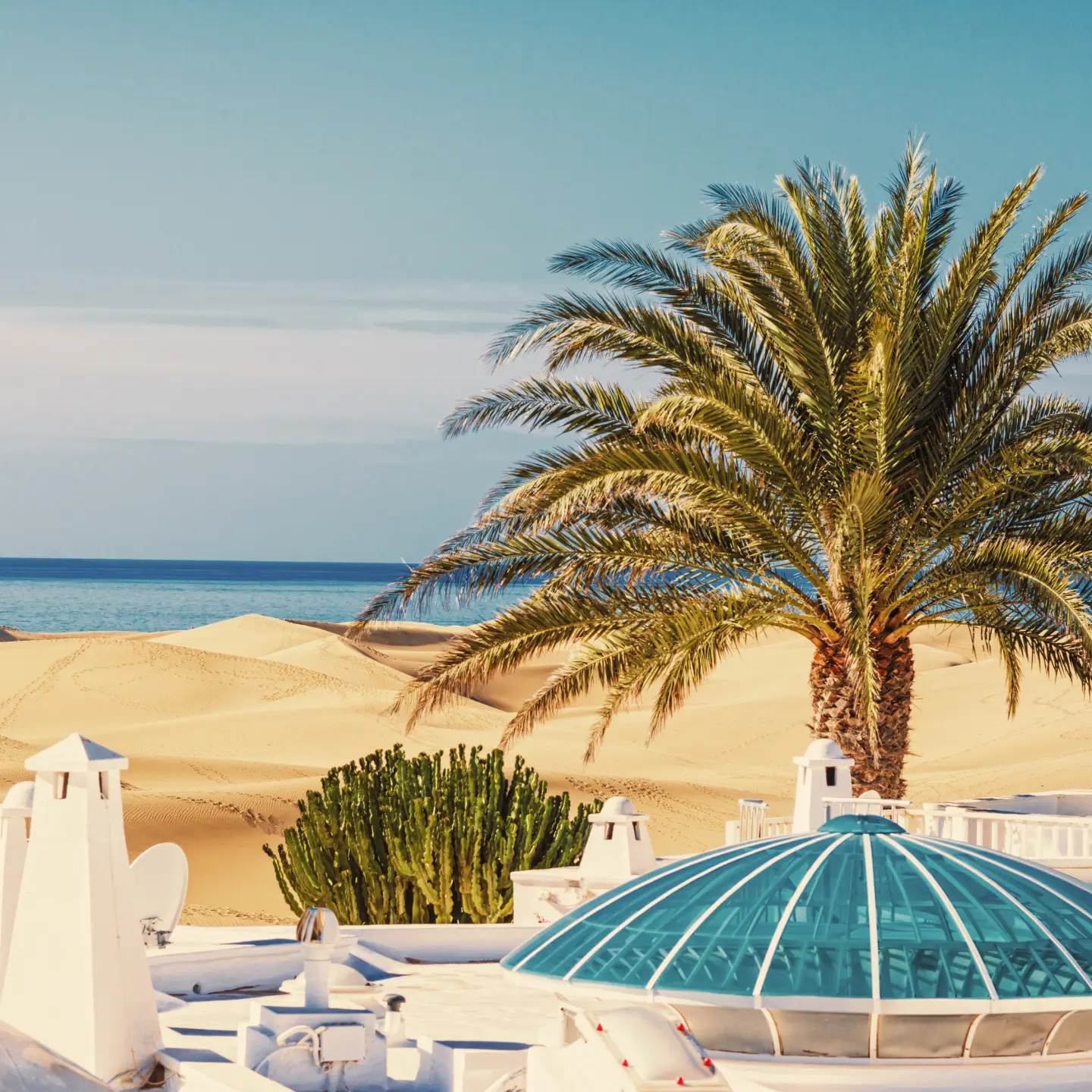Een palmboom rijst op voor de glooiende duinen van Gran Canaria, met uitzicht op de diepblauwe zee achter een elegant wit terras.