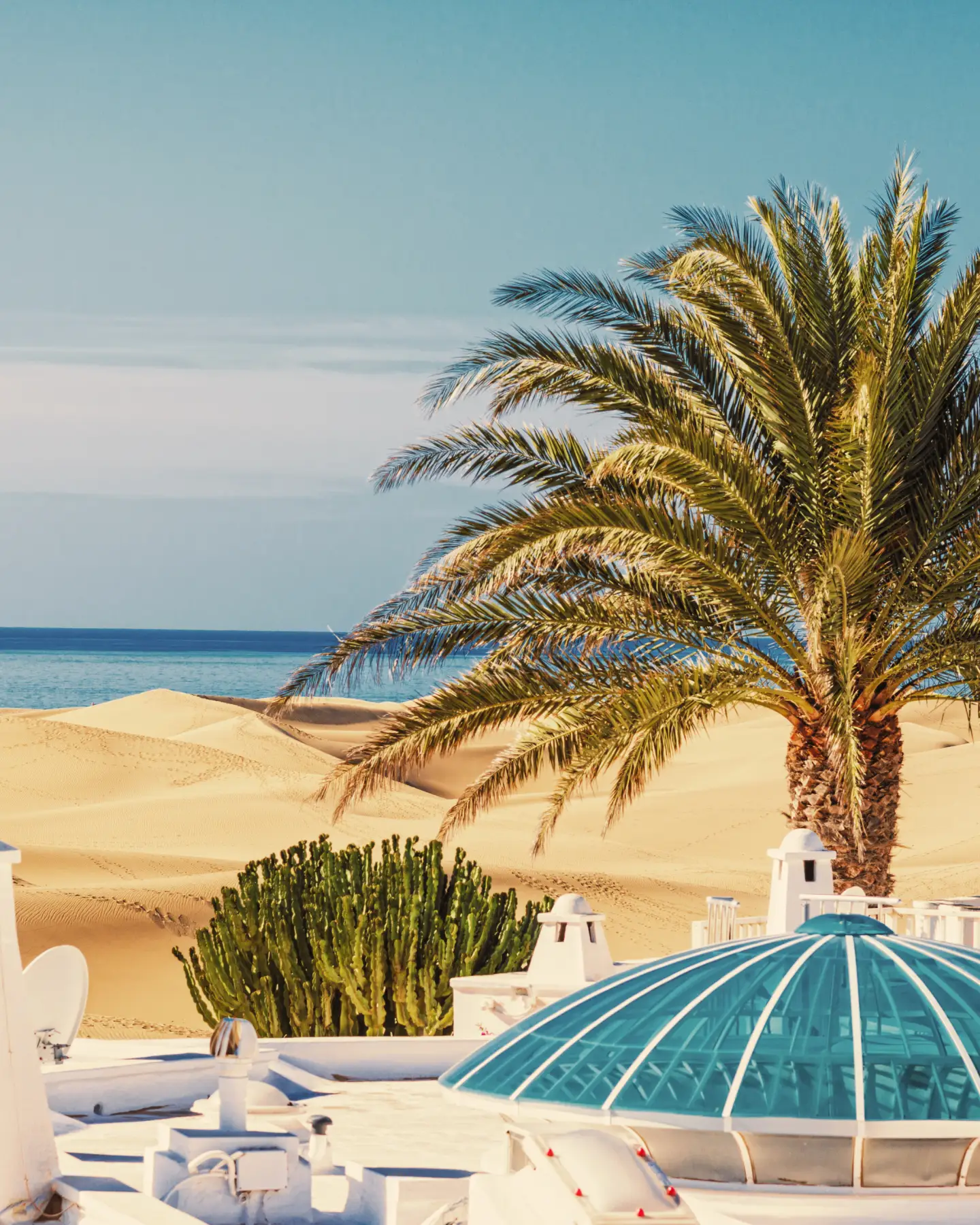 Un palmier s'élève devant les dunes ondulantes de Gran Canaria, surplombant la mer bleu profond derrière une élégante terrasse blanche.
