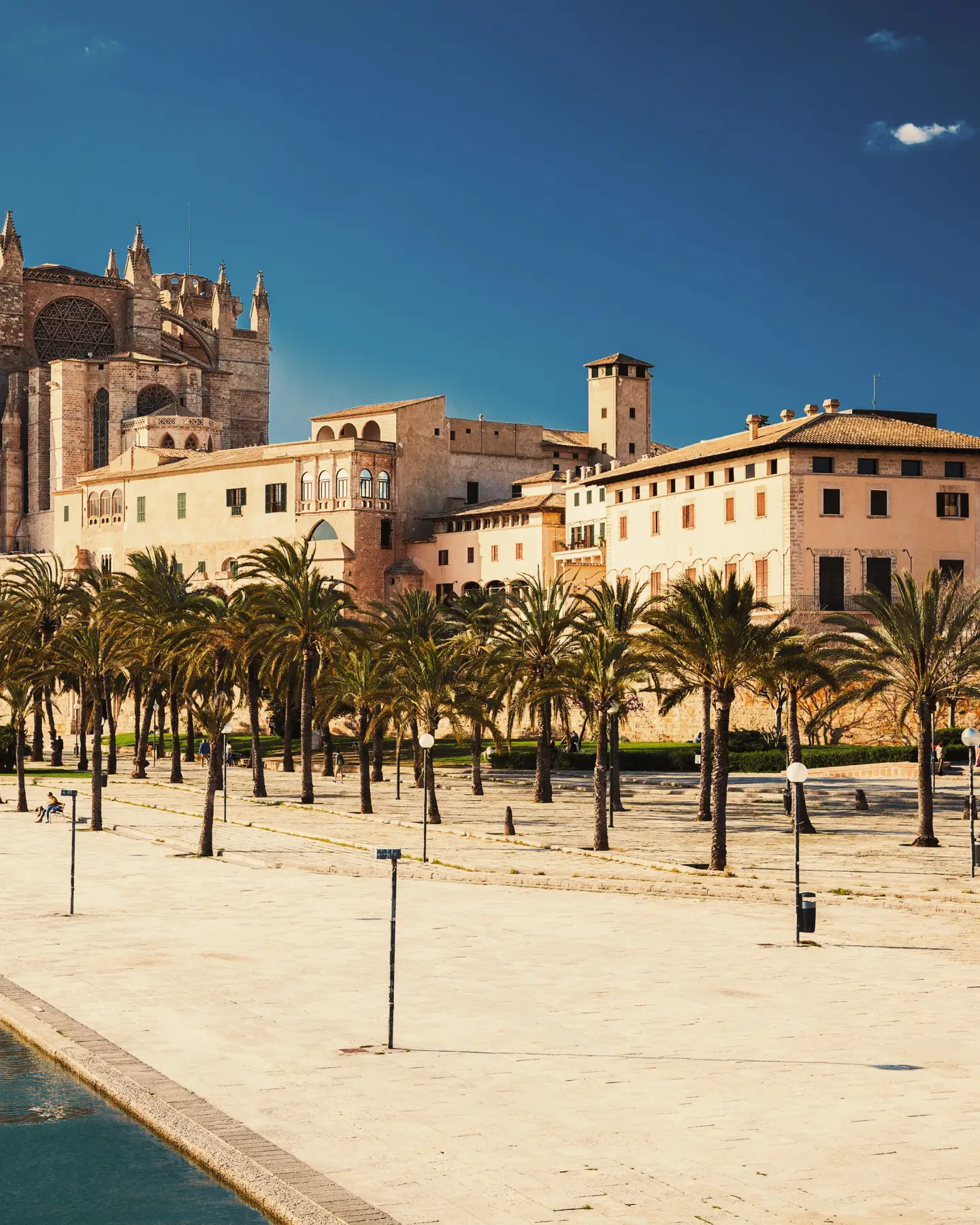 Catedral de Santa María en la ciudad portuaria española de Palma de Mallorca