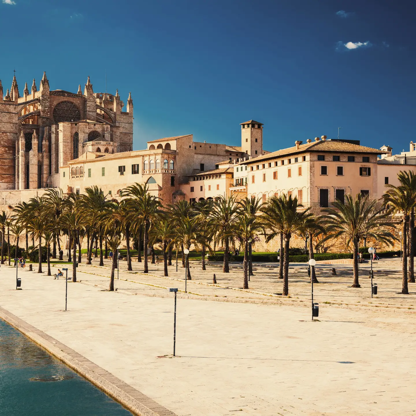 Catedral de Santa María en la ciudad portuaria española de Palma de Mallorca