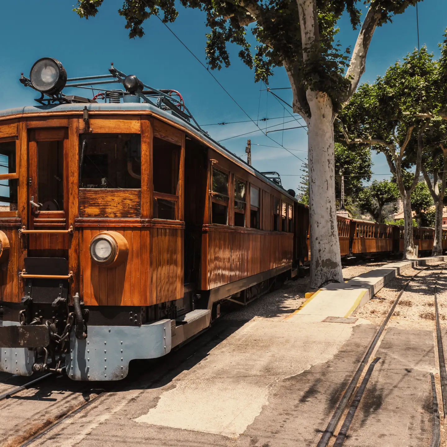 Historic streetcar on a sunny route, surrounded by trees.