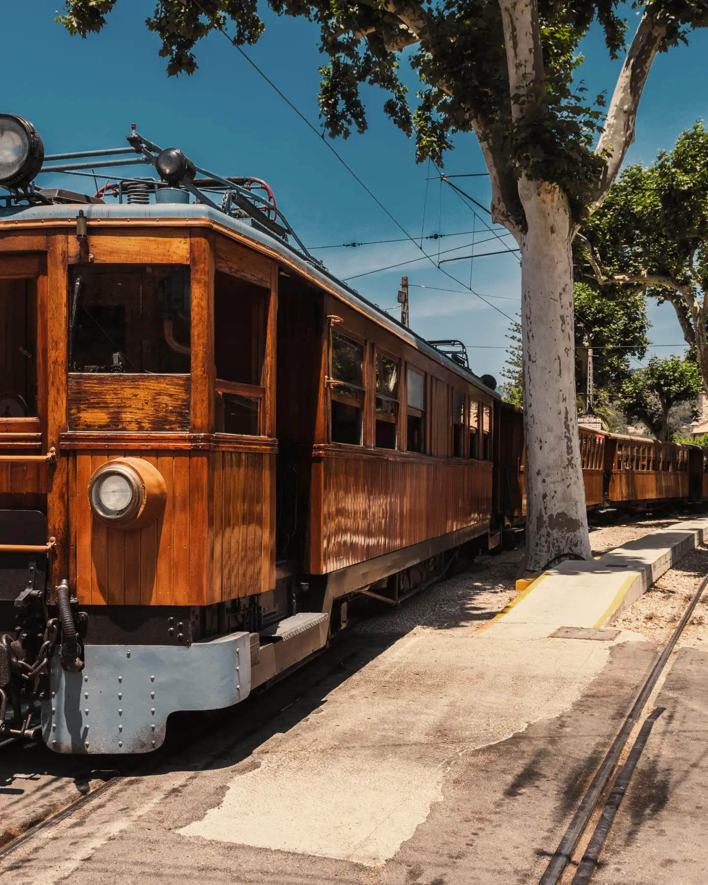 Tramway historique sur un trajet ensoleillé, entouré d'arbres.