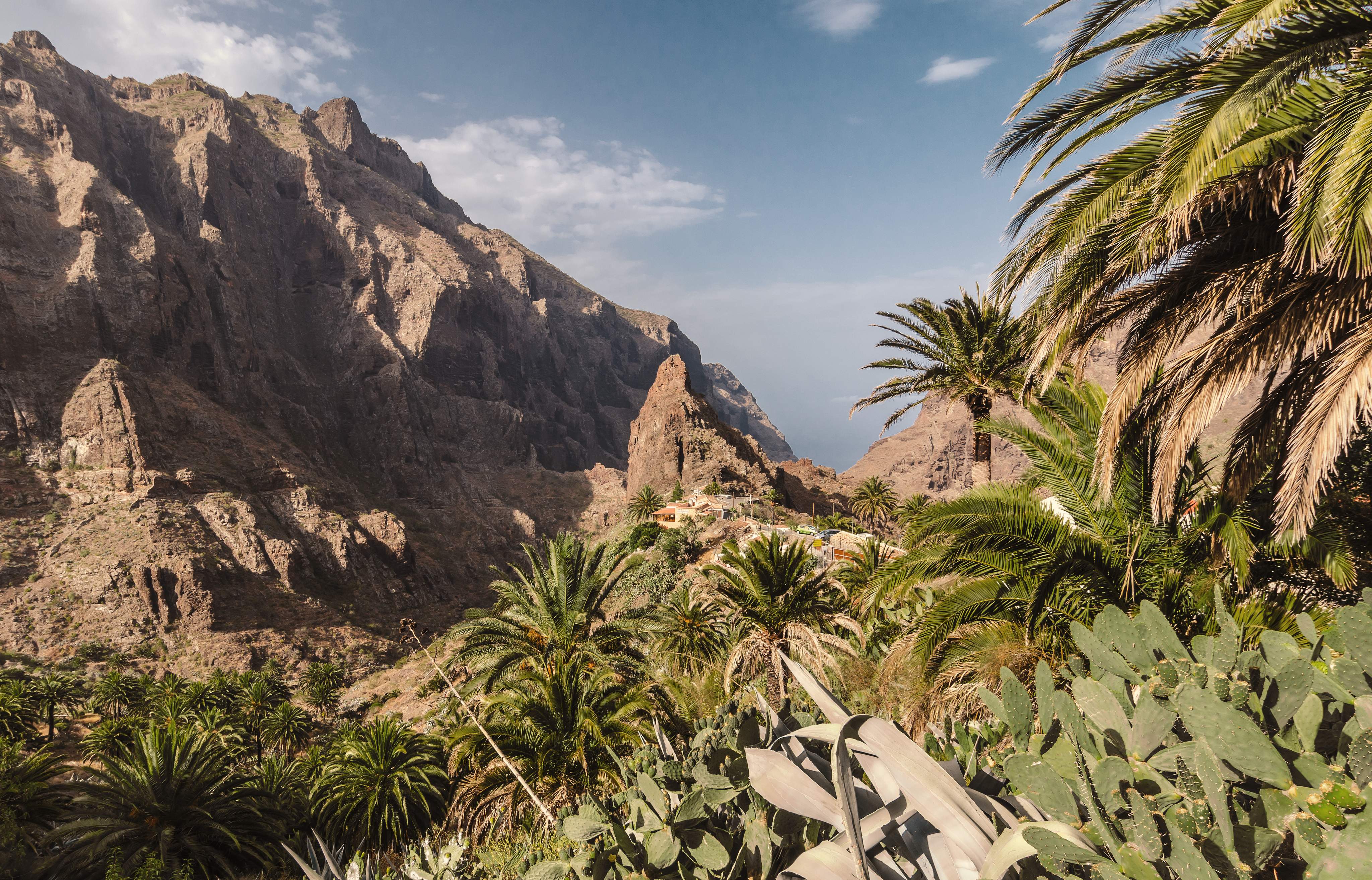 Ein üppig grünes Tal auf Teneriffa, umgeben von hohen, zerklüfteten Bergen unter einem klaren blauen Himmel.