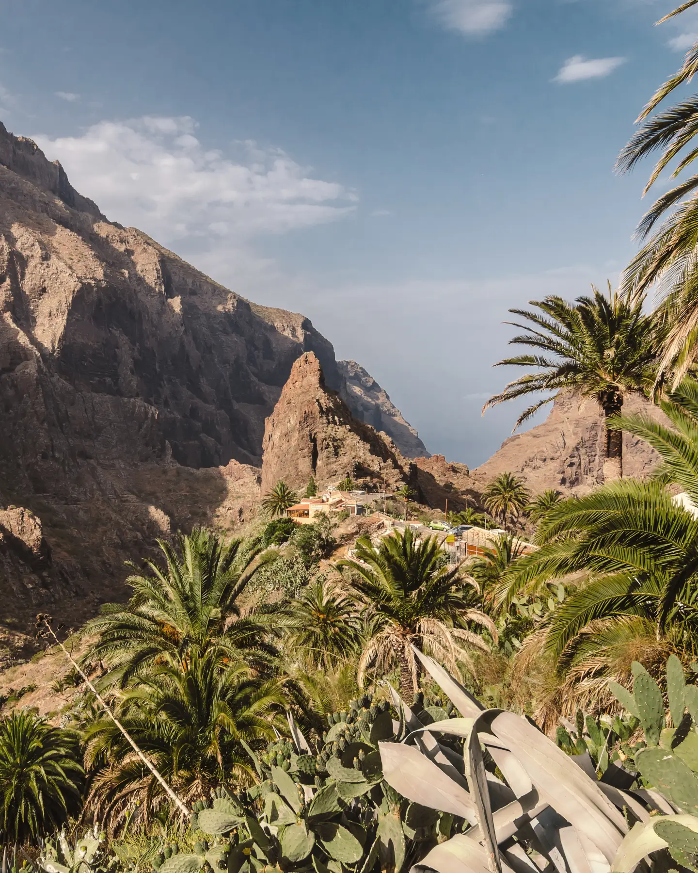 Ein üppig grünes Tal auf Teneriffa, umgeben von hohen, zerklüfteten Bergen unter einem klaren blauen Himmel.