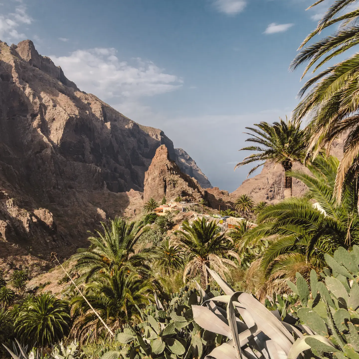 Ein üppig grünes Tal auf Teneriffa, umgeben von hohen, zerklüfteten Bergen unter einem klaren blauen Himmel.
