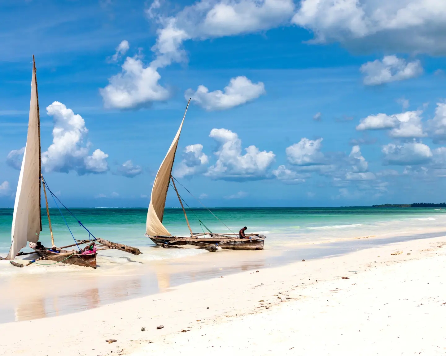 ocean and beachside with palmtrees and two boats on the water
