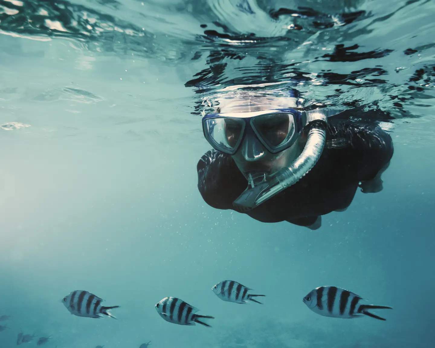 Vrouw snorkelend in de Indische Oceaan