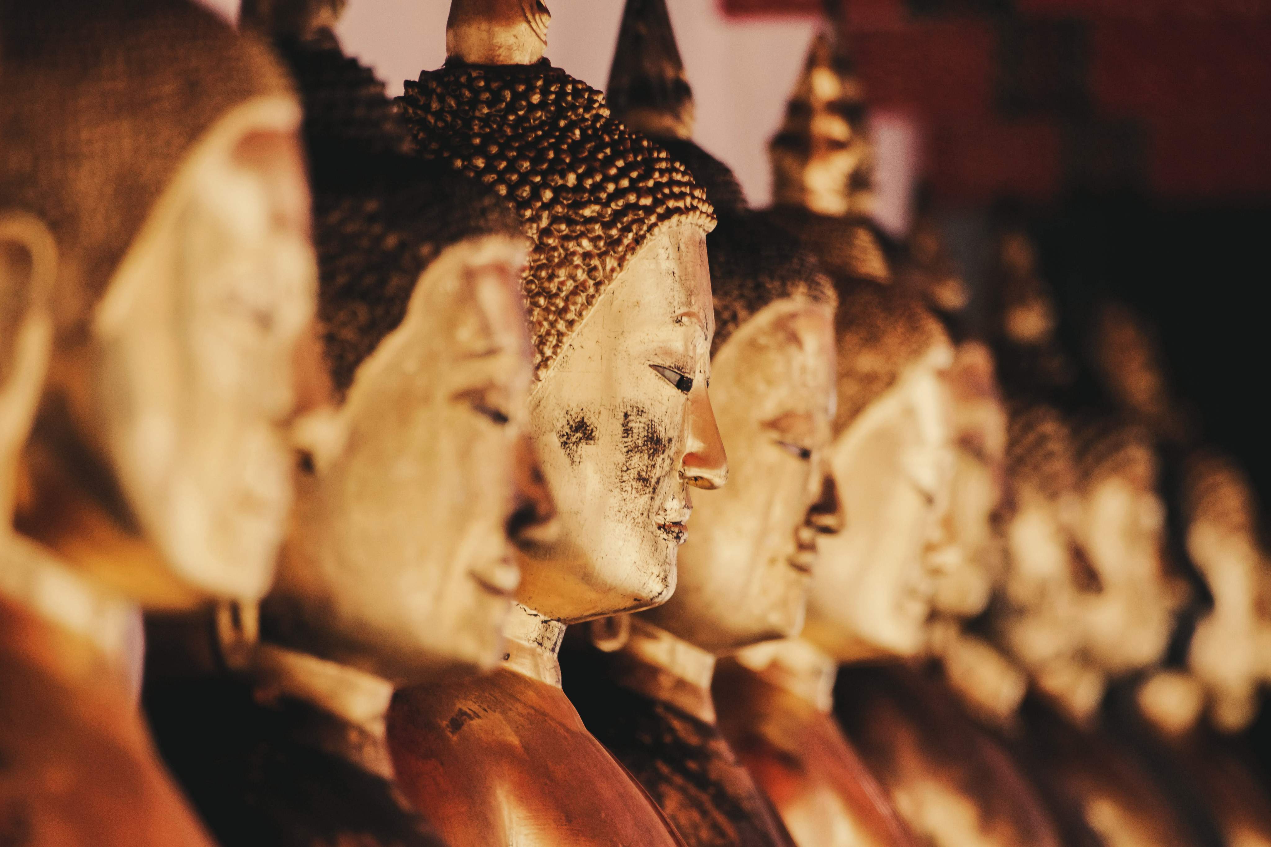 Közelkép arany Buddha szobrok soráról, amelyeket meleg fény világít meg a templom belsejében.