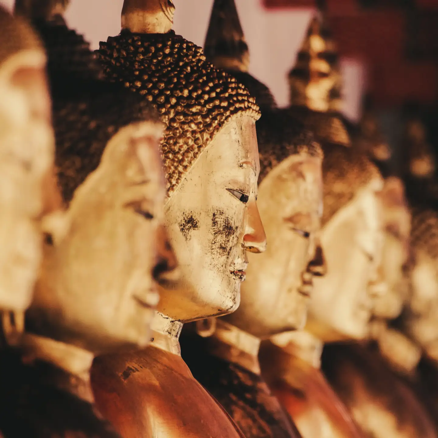Közelkép arany Buddha szobrok soráról, amelyeket meleg fény világít meg a templom belsejében.