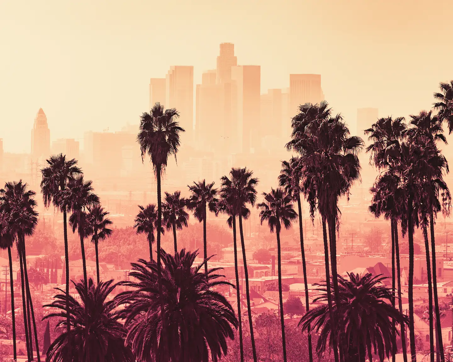 Se ven palmeras en primer plano con el horizonte borroso de Los Ángeles al atardecer.