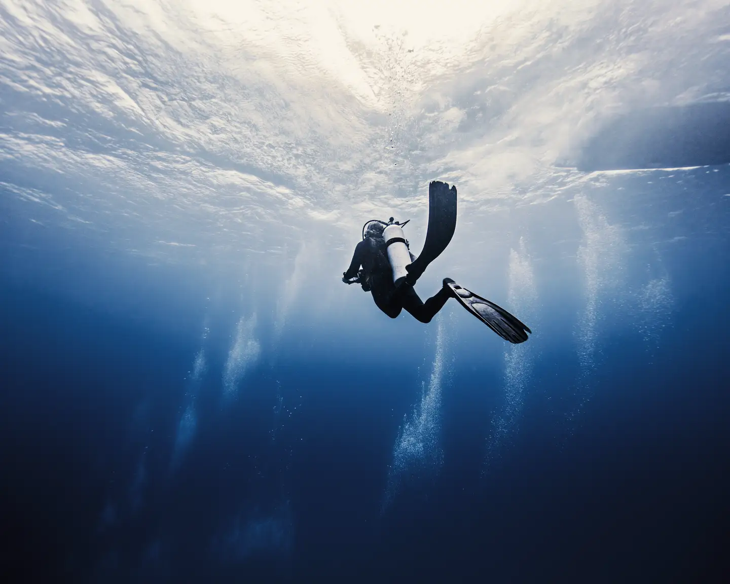 Un buzo con un traje de neopreno negro se zambulle en un mar azul profundo. La luz del sol penetra en el agua desde arriba.