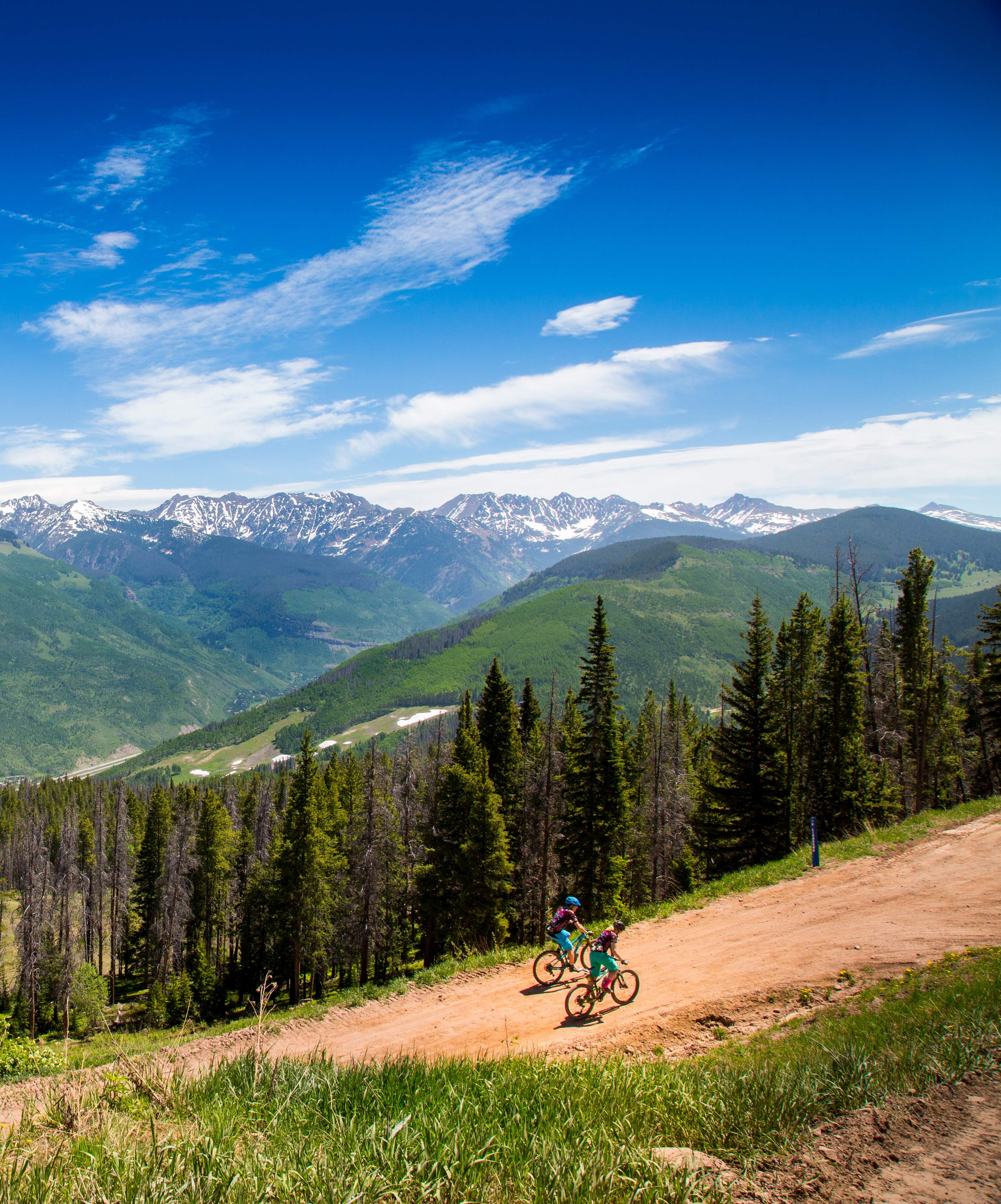 Ein Paar Mountainbiker fährt an einem sonnigen Sommertag einen Schotterweg in Vail, Colorado, in den Rocky Mountains hinauf, umgeben von beeindruckender Natur.