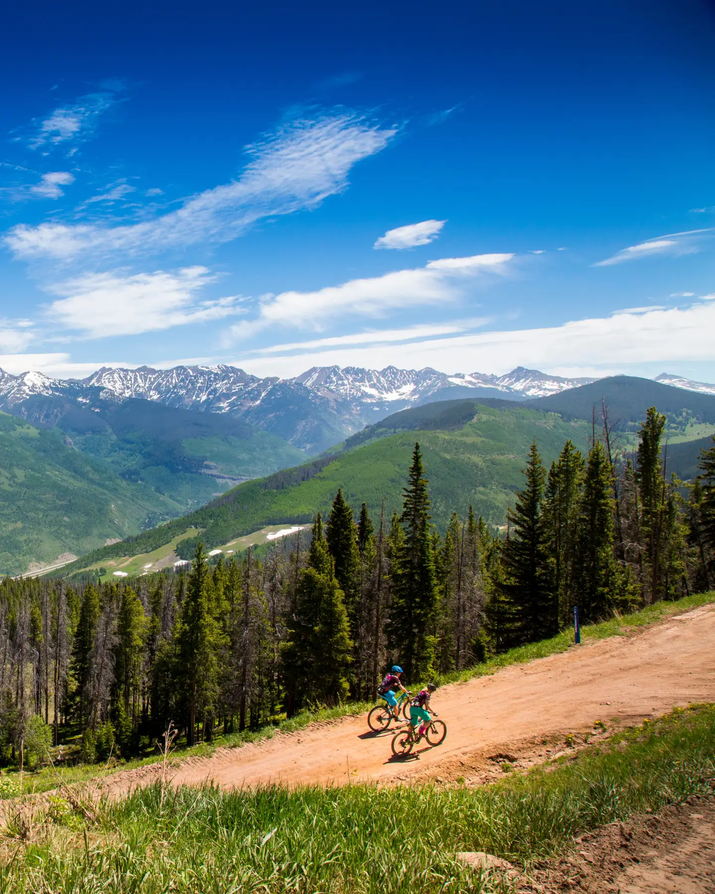 Ein Paar Mountainbiker fährt an einem sonnigen Sommertag einen Schotterweg in Vail, Colorado, in den Rocky Mountains hinauf, umgeben von beeindruckender Natur.