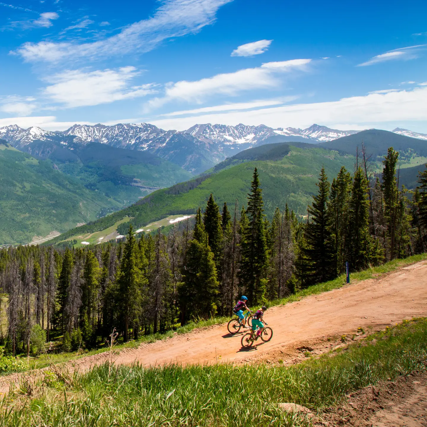 Ein Paar Mountainbiker fährt an einem sonnigen Sommertag einen Schotterweg in Vail, Colorado, in den Rocky Mountains hinauf, umgeben von beeindruckender Natur.