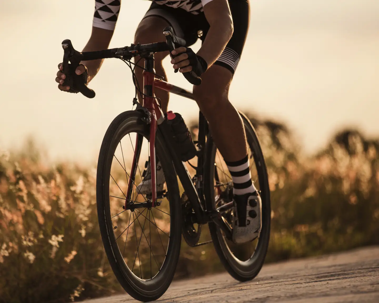 Close-up of a cyclist riding on a quiet road at sunset, surrounded by soft grasses.