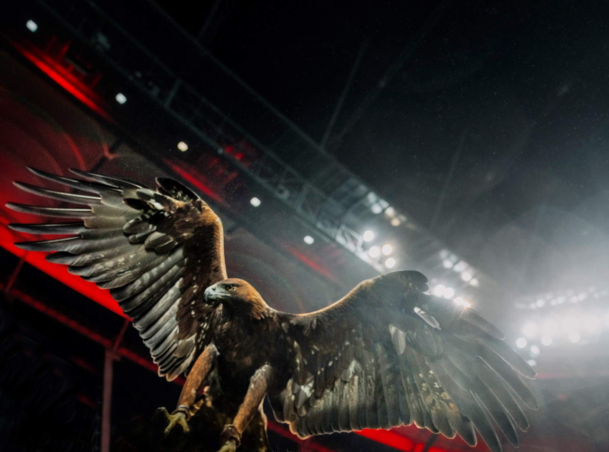 condor-eintracht-frankfurt-team-card-attila