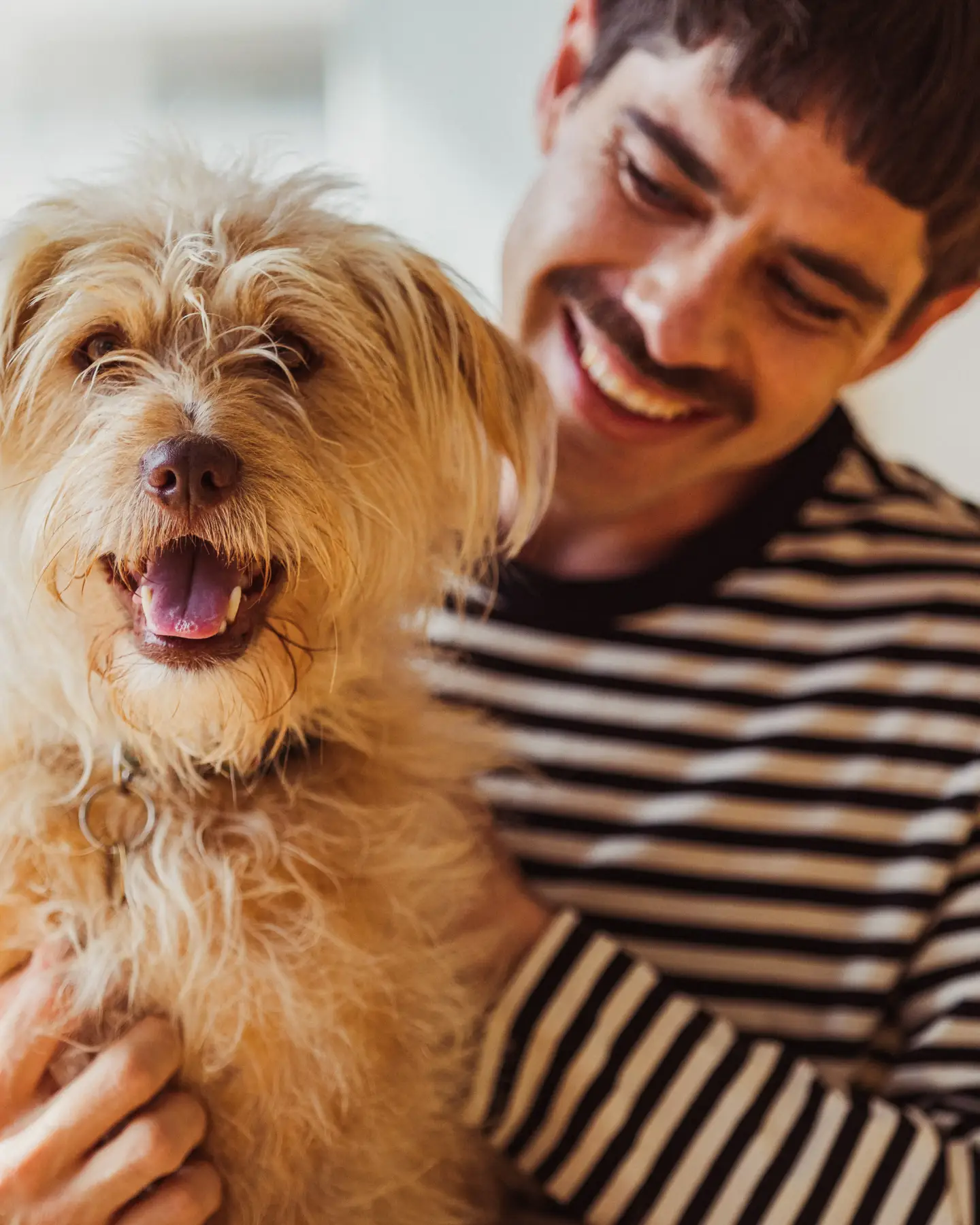 Hombre sosteniendo un perro en su regazo y sonriendo a la cámara