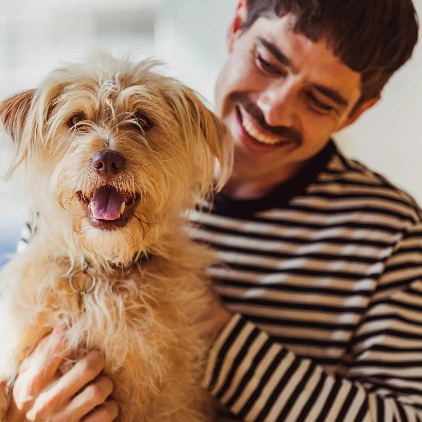 Hombre sosteniendo un perro en su regazo y sonriendo a la cámara