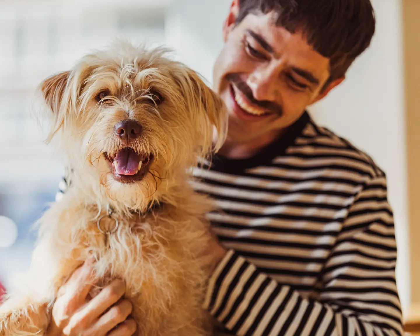 Una mujer sostiene a su perro en el regazo