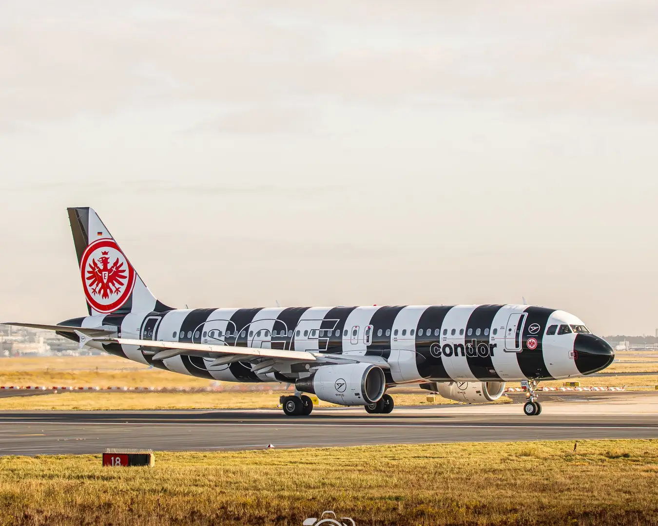 Condor Flugzeug im schwarz-weiß gestreiften Sonderdesign der Eintracht Frankfurt rollt auf der Startbahn eines Flughafens bei Tageslicht.