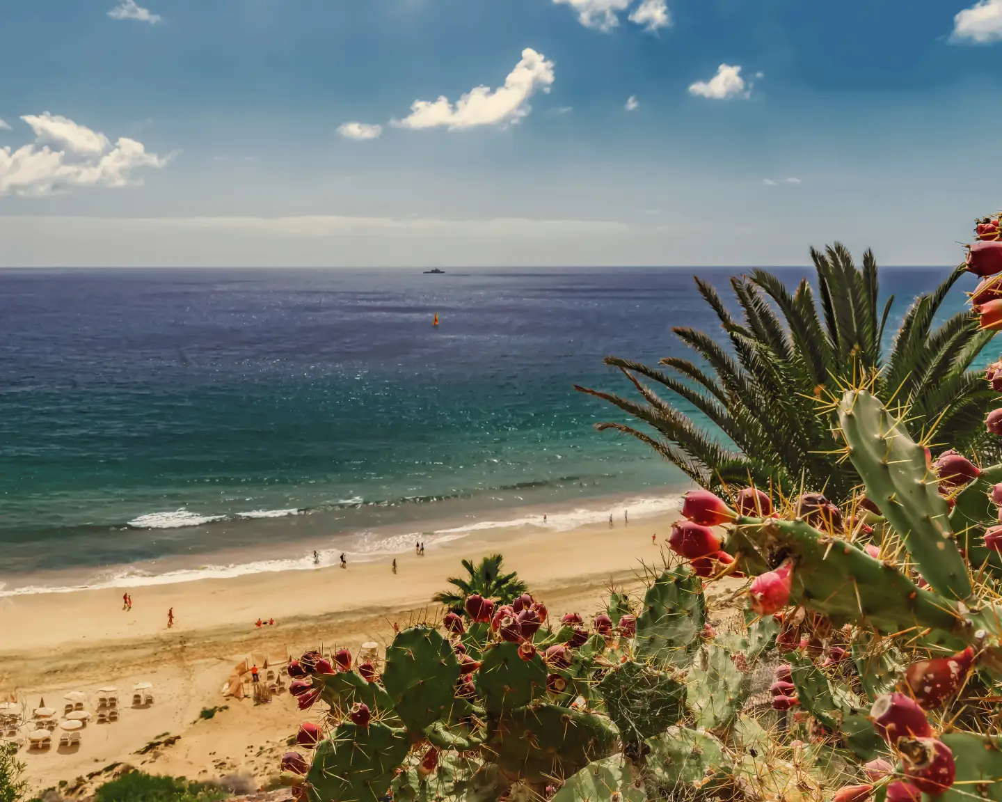 fuerteventura-fue-spain-canaries-esquinzo-beach-condor