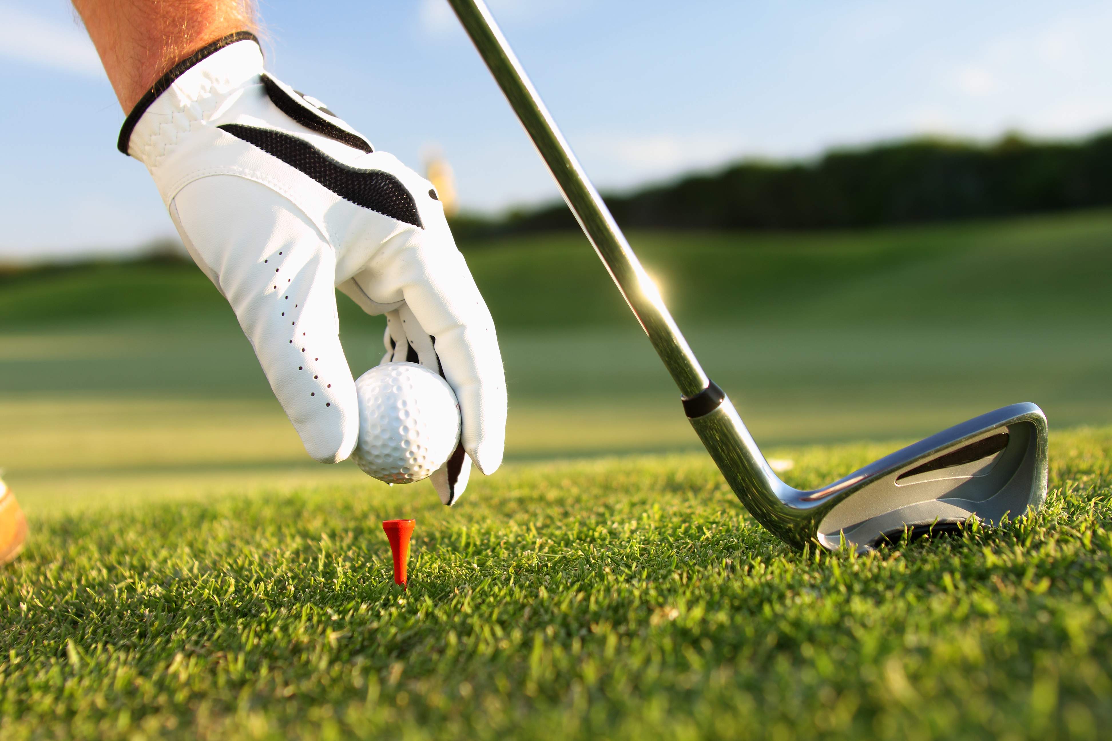general-golf-condor-golf-club-hand-condor