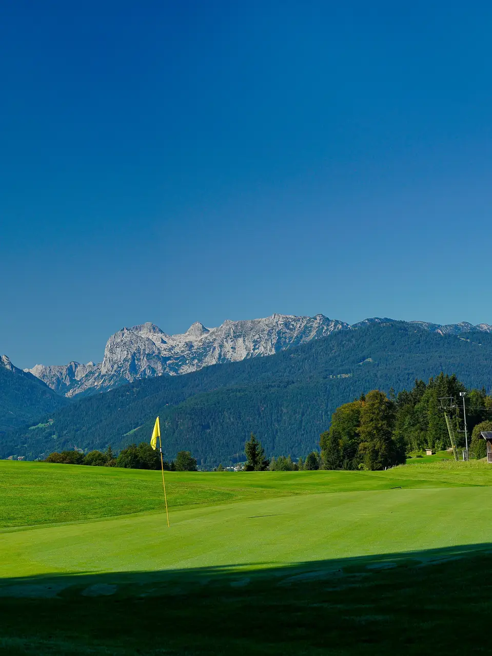 Panoramic view of a green golf course near Munich with a well-maintained fairway, surrounded by trees and the Alps in the background.