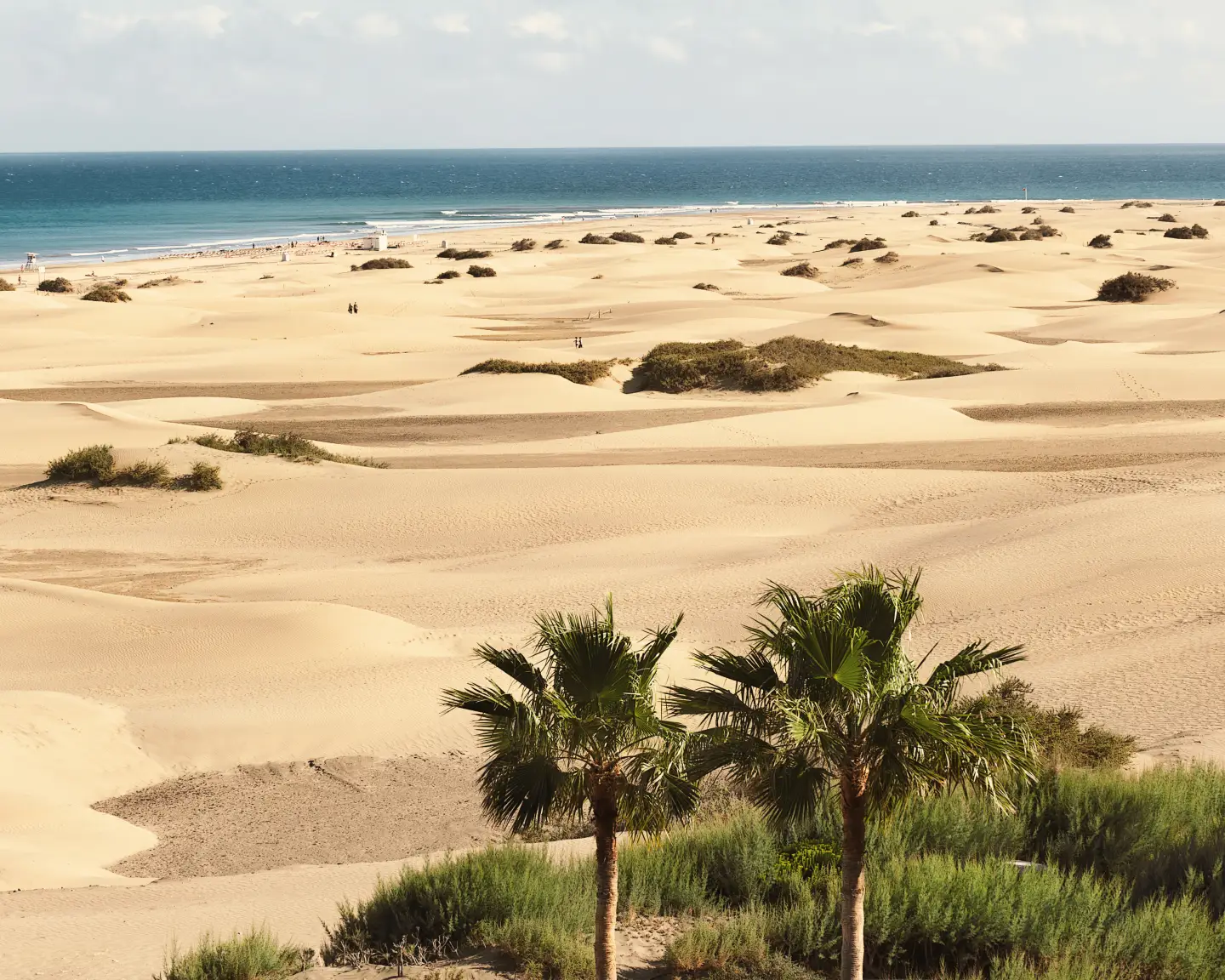 Sandy dunes in famous natural Maspalomas beach. Gran Canaria.  Spain