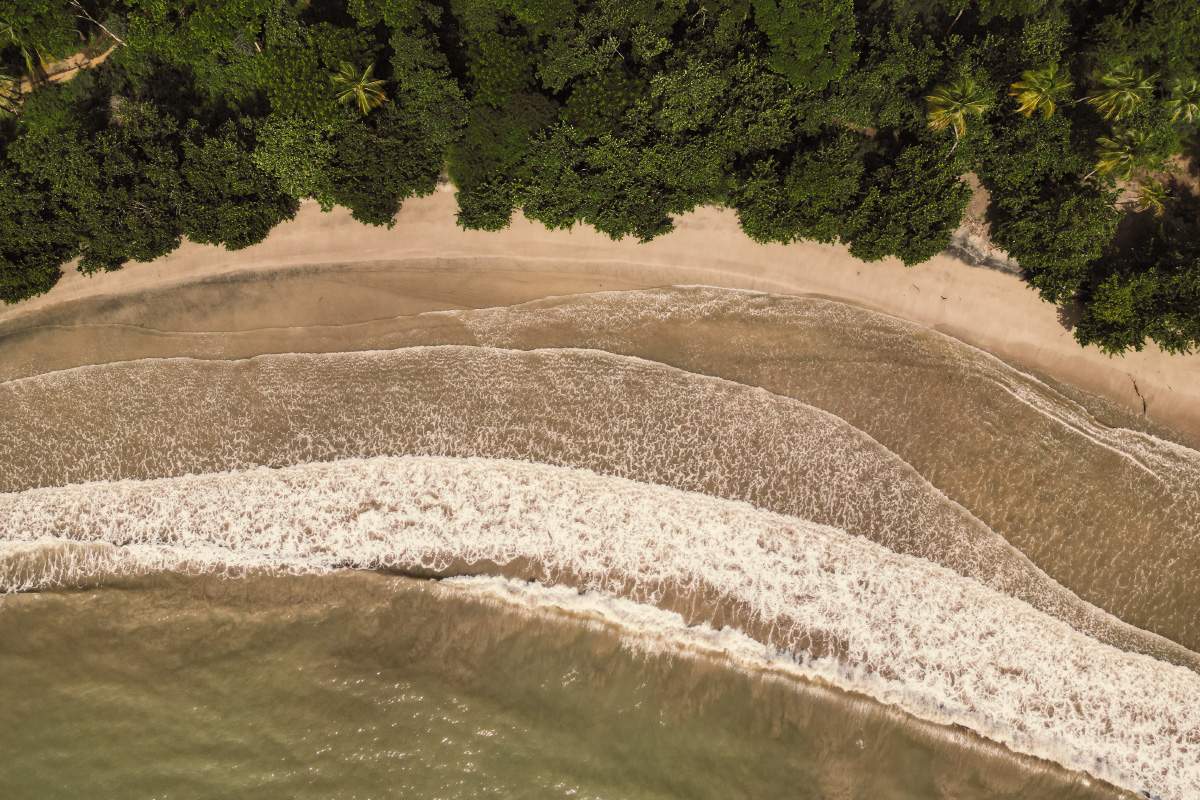 Luftaufnahme eines tropischen Strandes auf Grenada mit dichtem Grün, Palmen und sanften Wellen am Ufer.