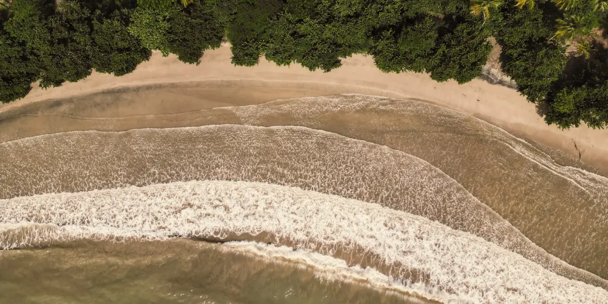 Luftaufnahme eines tropischen Strandes auf Grenada mit dichtem Grün, Palmen und sanften Wellen am Ufer.