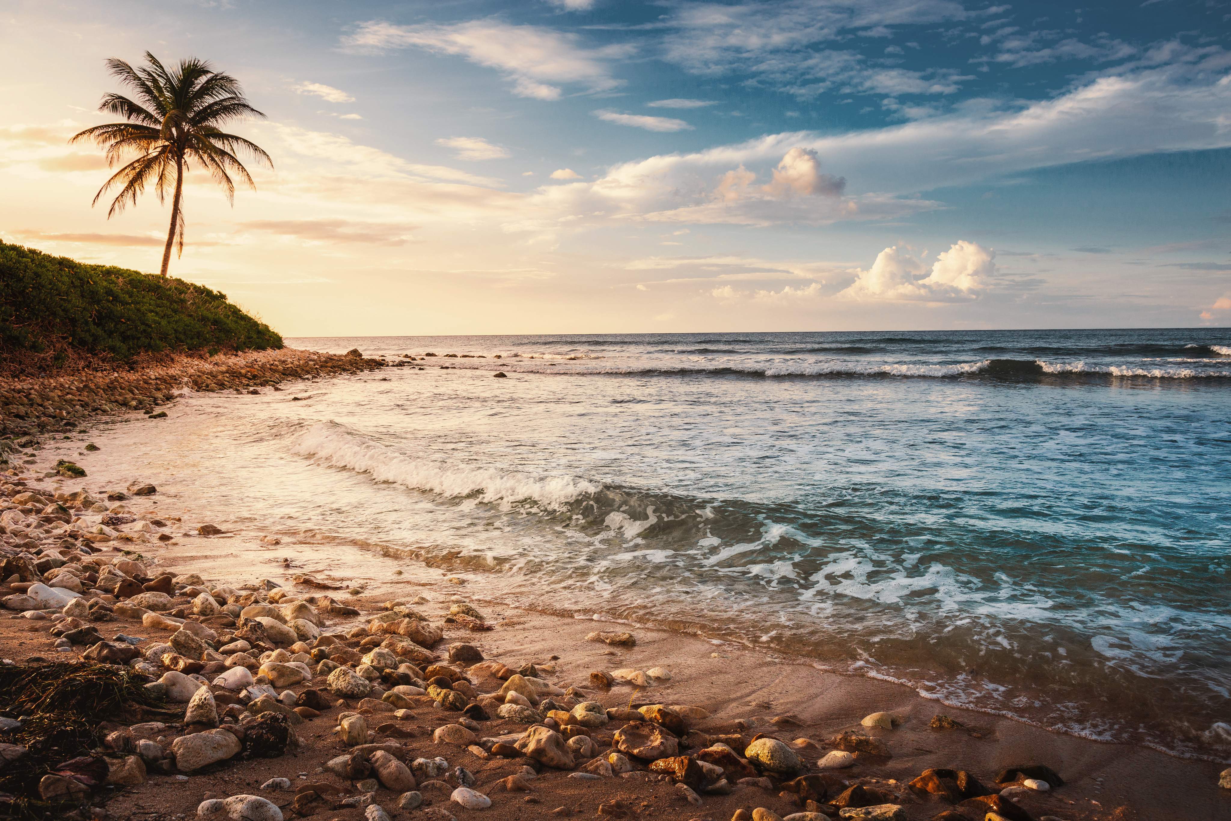 Tropical paradise: idyllic caribbean beach with single palm tree, Montego Bay, Jamaica