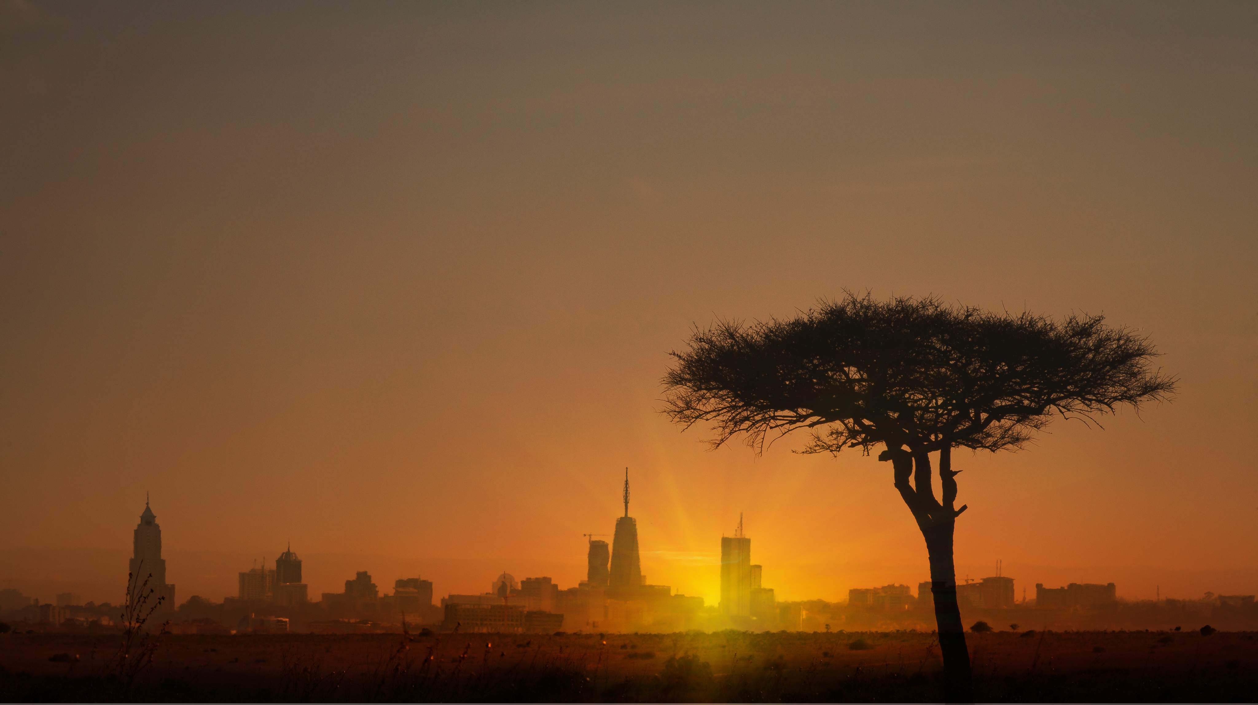 Africa. Kenia. Masai Mara National Park.