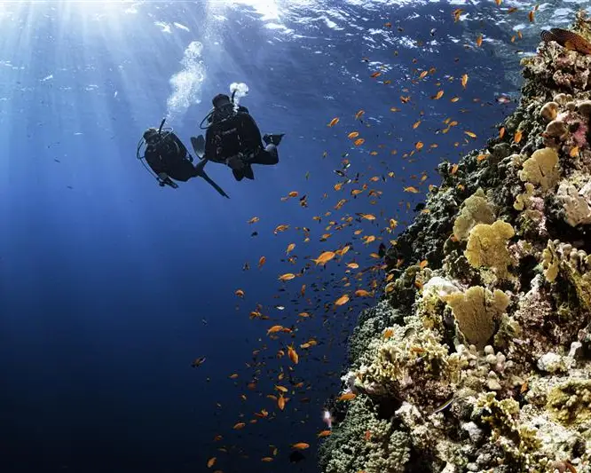 padi-diving-course-condor
