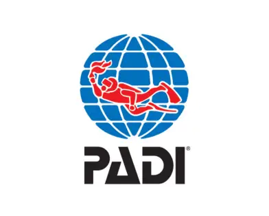 PADI Logo mit stilisiertem Taucher vor einem blauen Globus