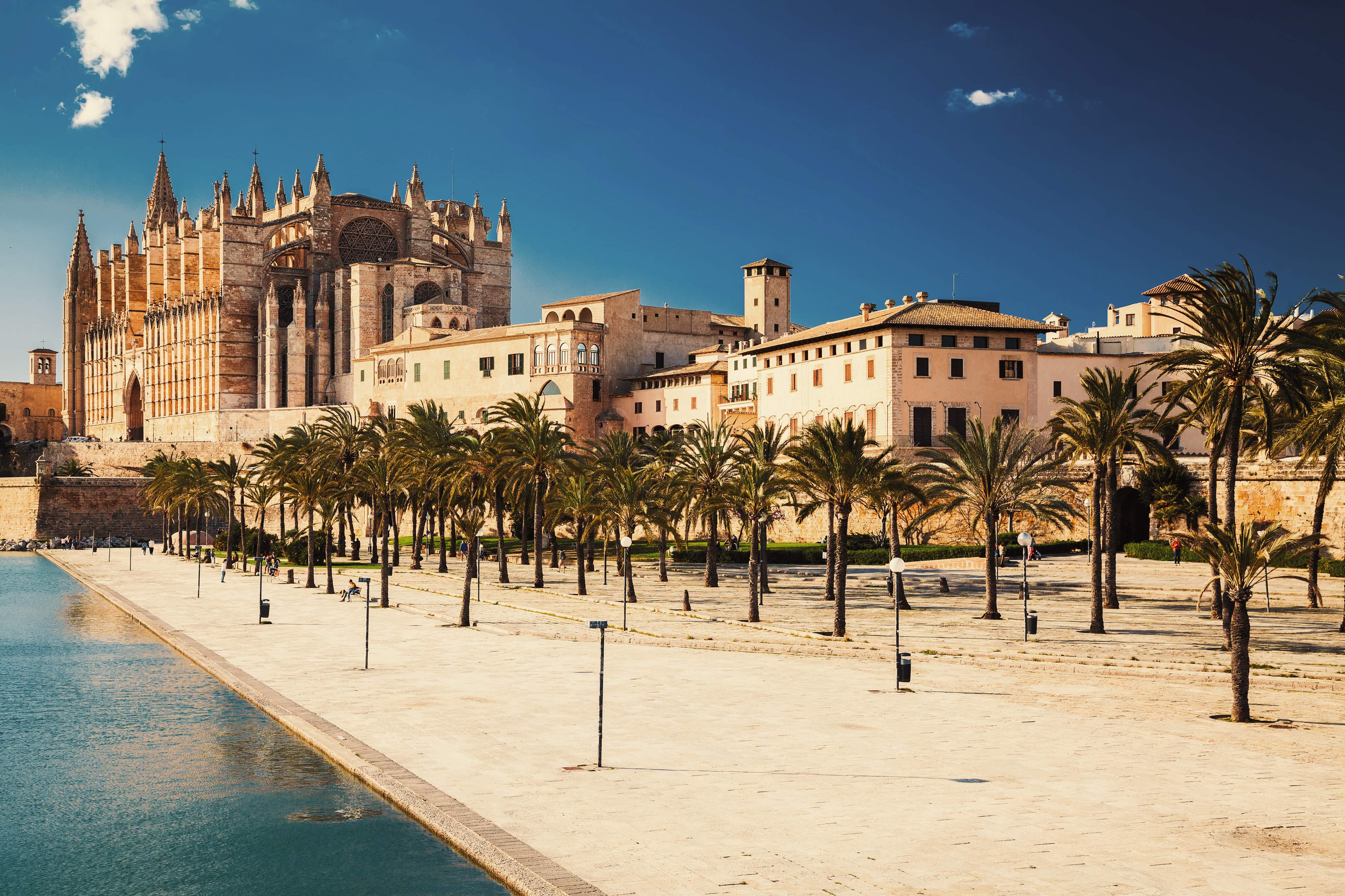 Palma Cathedral rises above palm-lined Parc de la Mar and its waterfront promenade under a vivid blue sky.