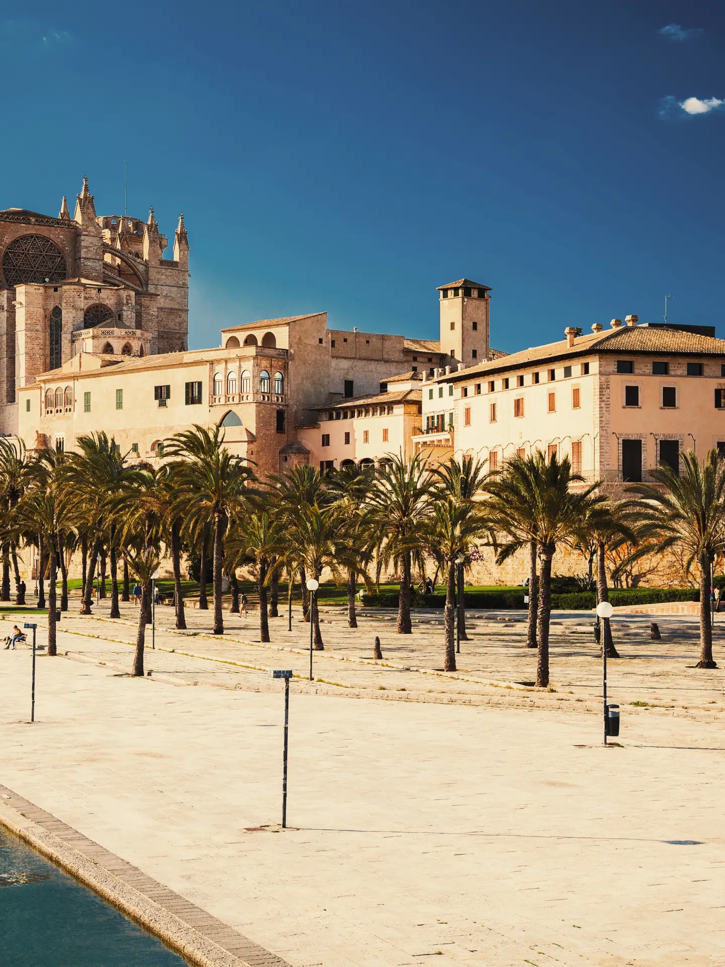 Palma Cathedral rises above palm-lined Parc de la Mar and its waterfront promenade under a vivid blue sky.