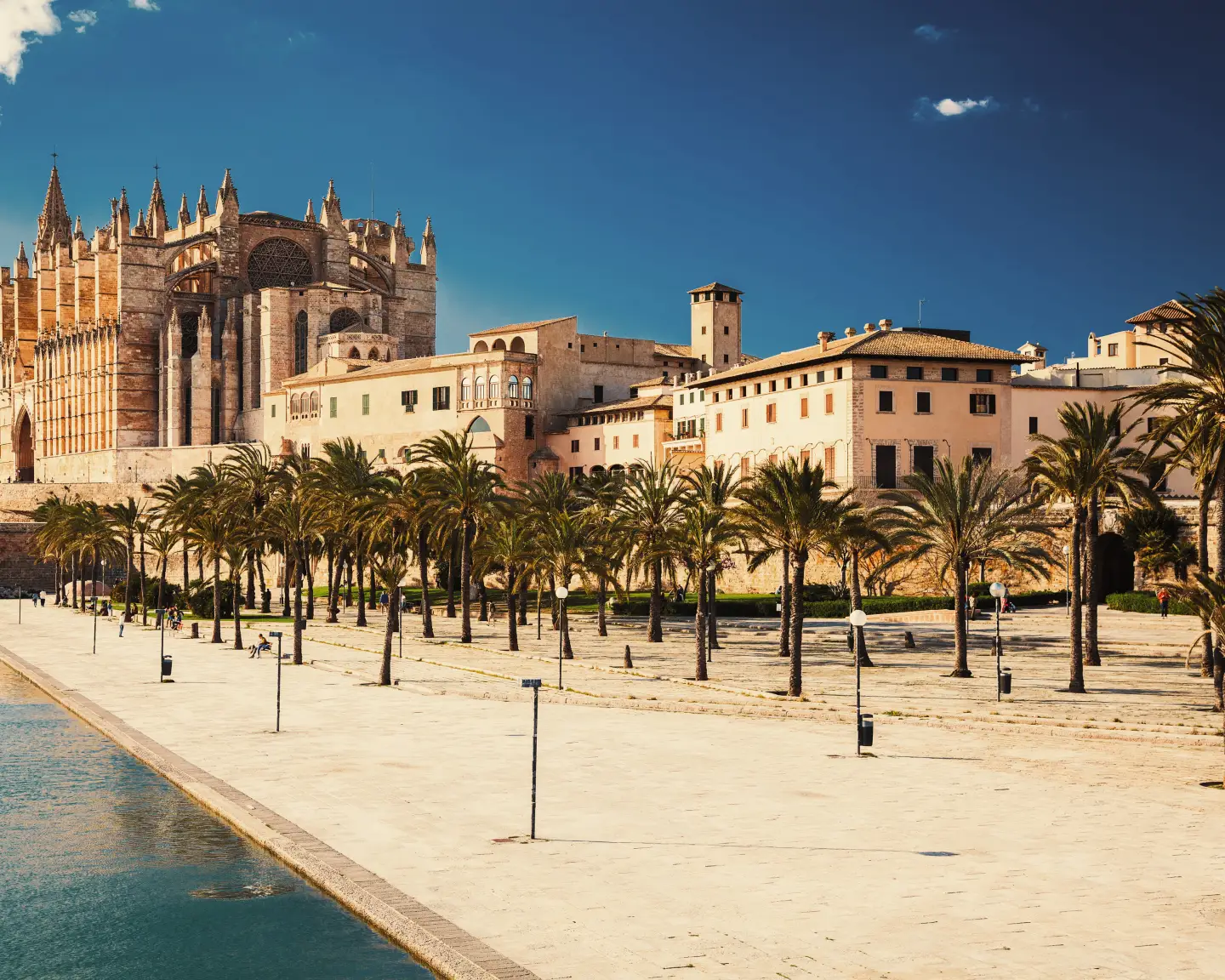 Une vue de la cathédrale de Palma, La Seu, au-dessus des remparts de la ville, avec une avenue bordée de palmiers et la mer bleue au premier plan.