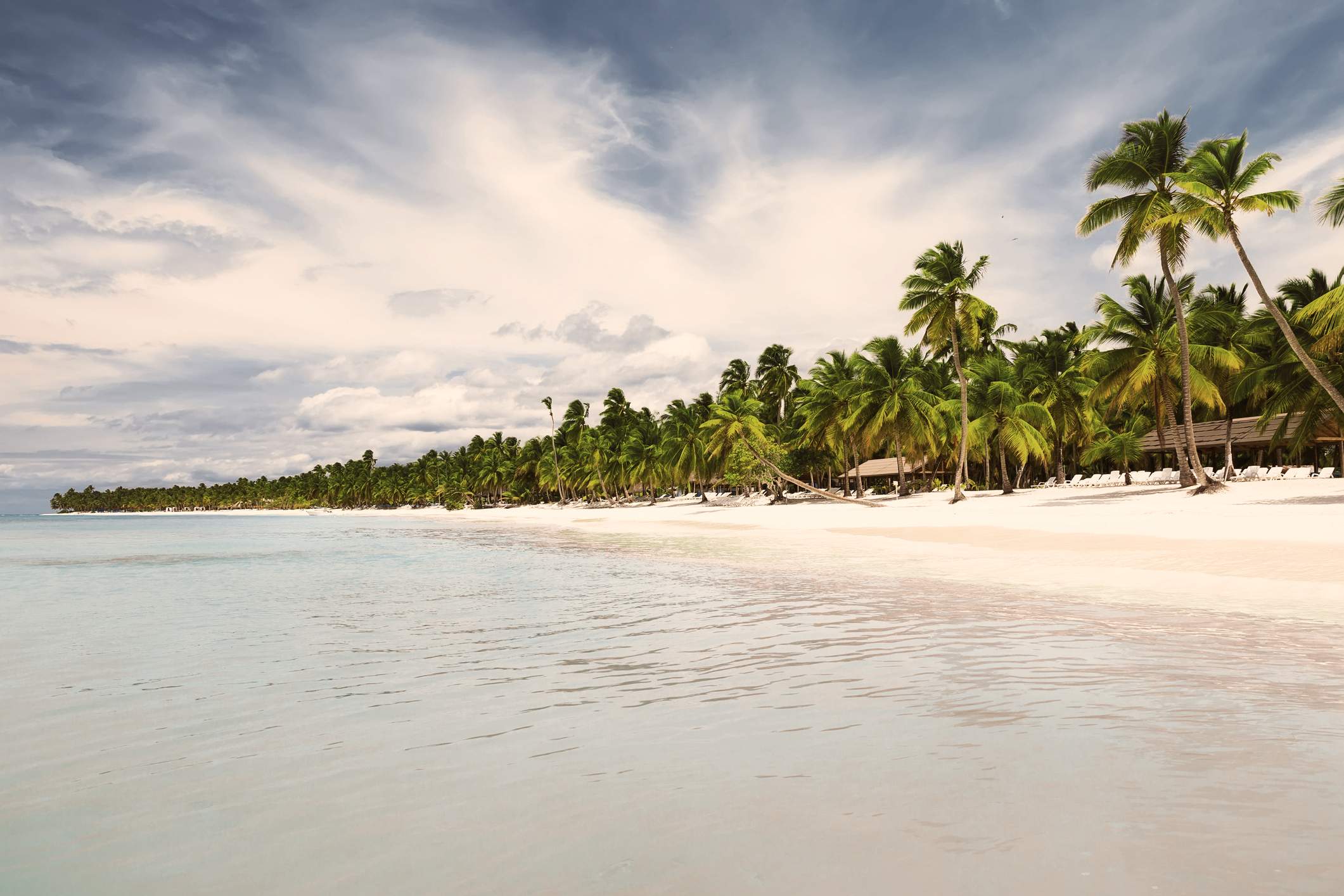 Kokospalmen an einem weißen Sandstrand in Punta Cana, Dominikanische Republik