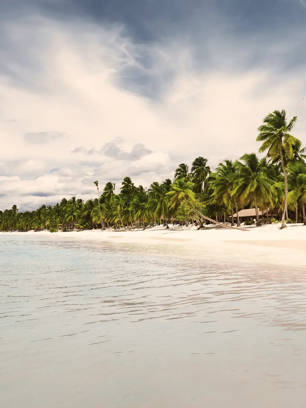 Kokospalmen an einem weißen Sandstrand in Punta Cana, Dominikanische Republik