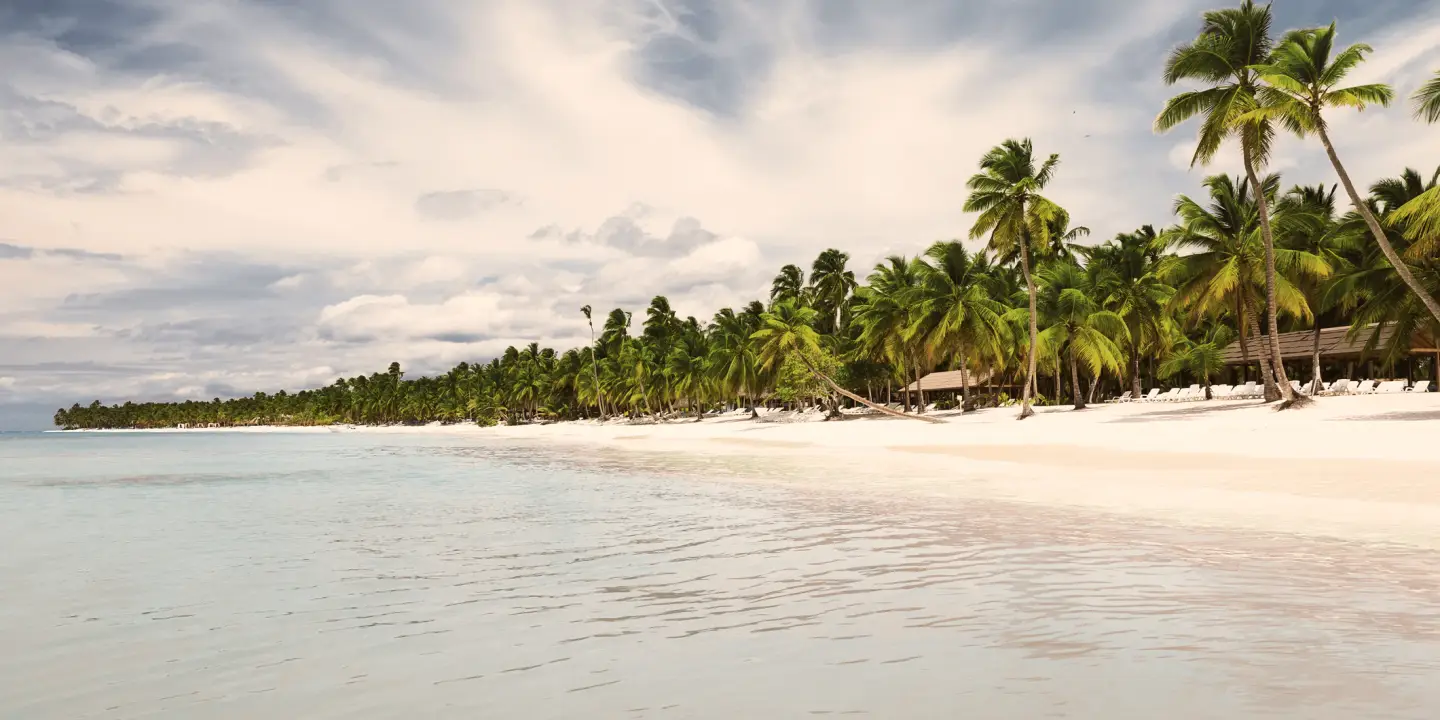 Kokospalmen an einem weißen Sandstrand in Punta Cana, Dominikanische Republik