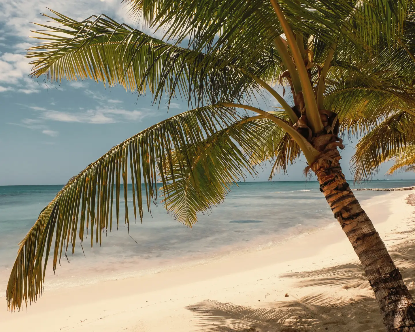 Photo Taken In Punta Cana, Dominican Republic
