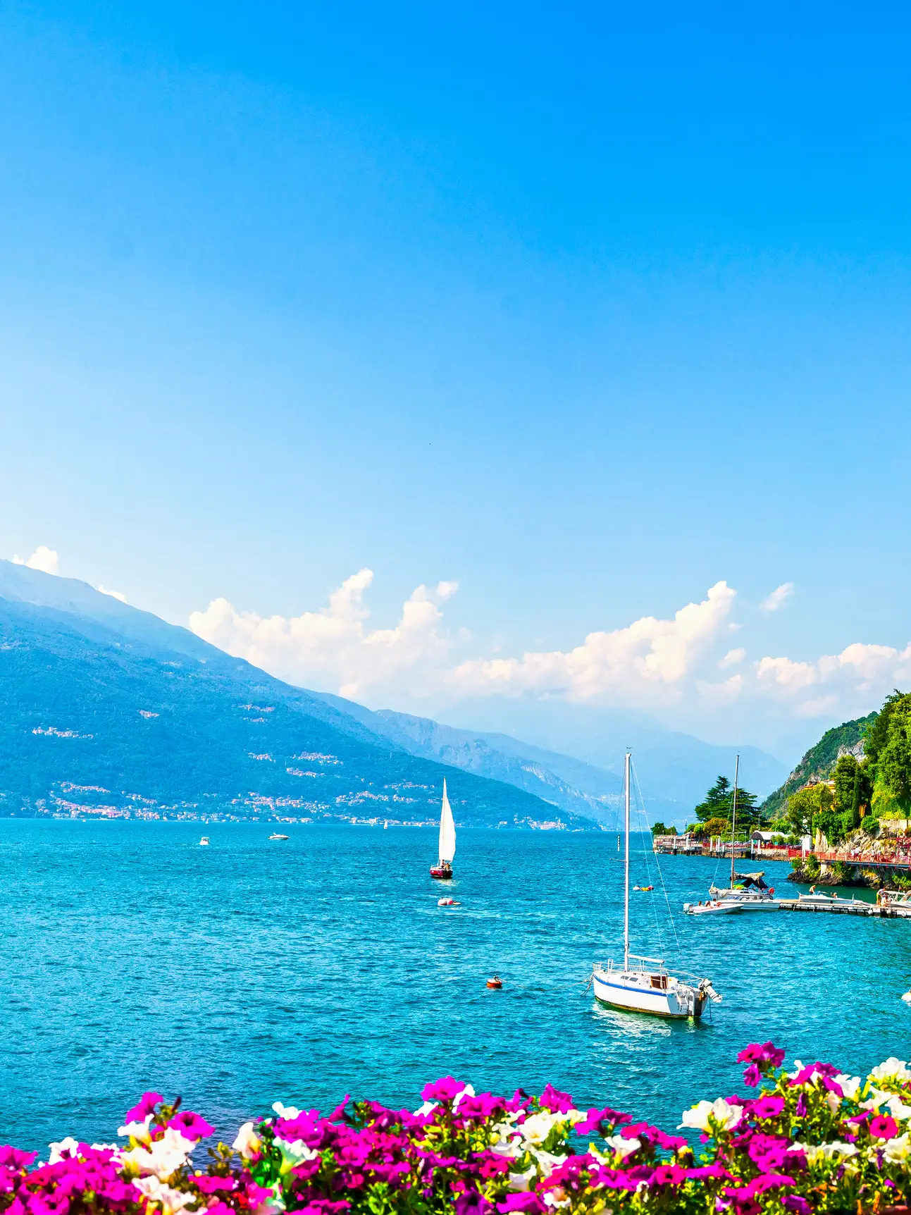 Panoramic view of Varenna on Lake Como with colorful houses on the shore, sailing boats, mountains and blooming flowers in northern Italy.