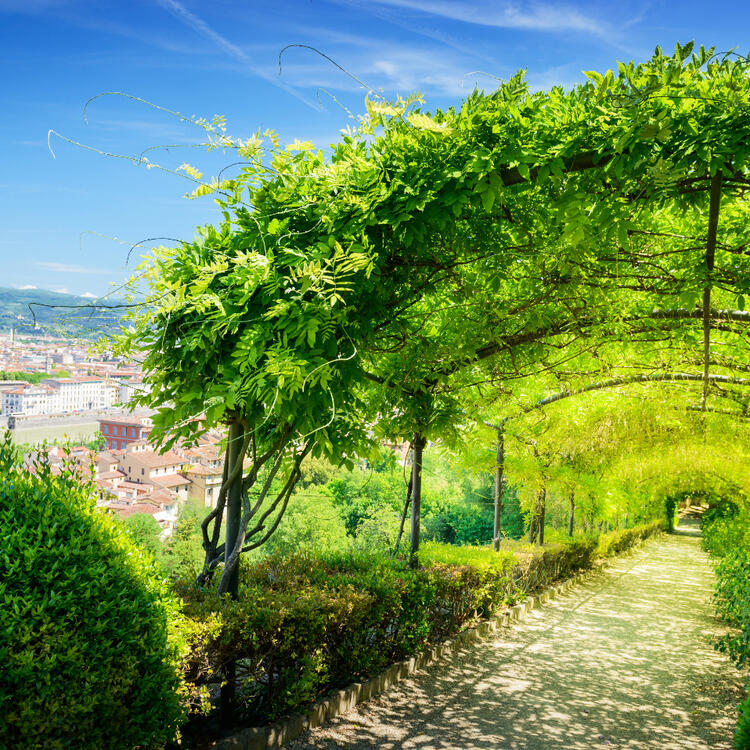 Walk path under green shady in Boboli Gardens