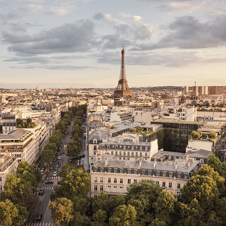 View of the city of Paris with the Eiffel Tower in the background.