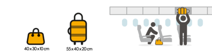 condor baggage