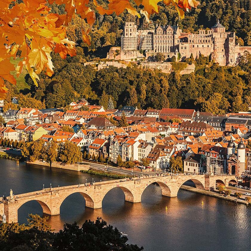 Autumn panorama of Heidelberg