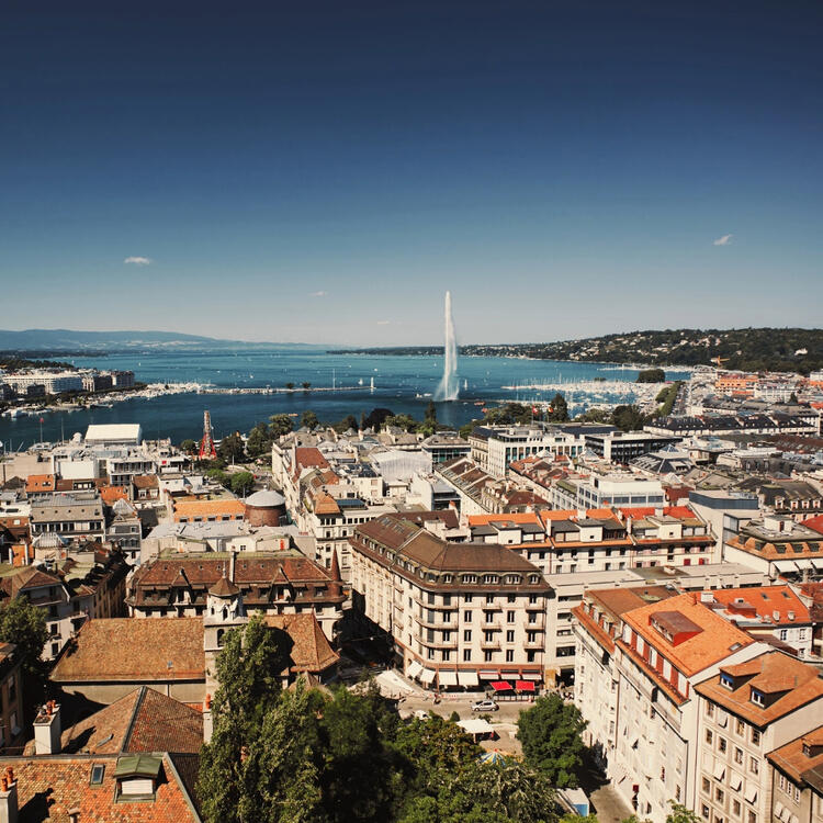 Elevated view of Geneva cityscape featuring densely packed buildings with red rooftops, a prominent jet fountain rising from a blue lake, marinas with docked boats, and distant hills under a clear blue sky.