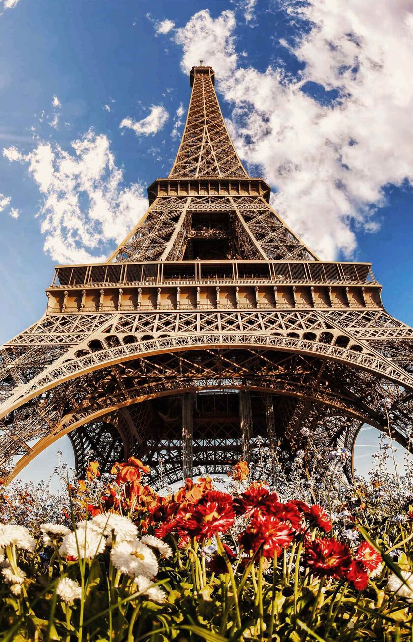 The Eiffeltower from the frog's perspective